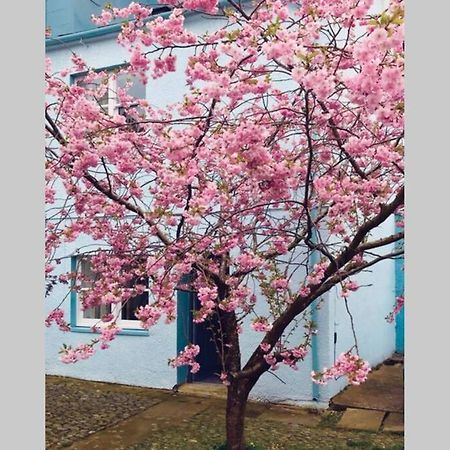 Albion Cottage Cockermouth Eksteriør bilde